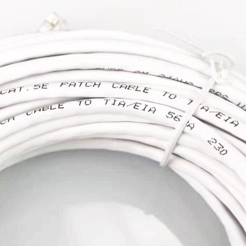 REVO 100ft CAT5e Cable