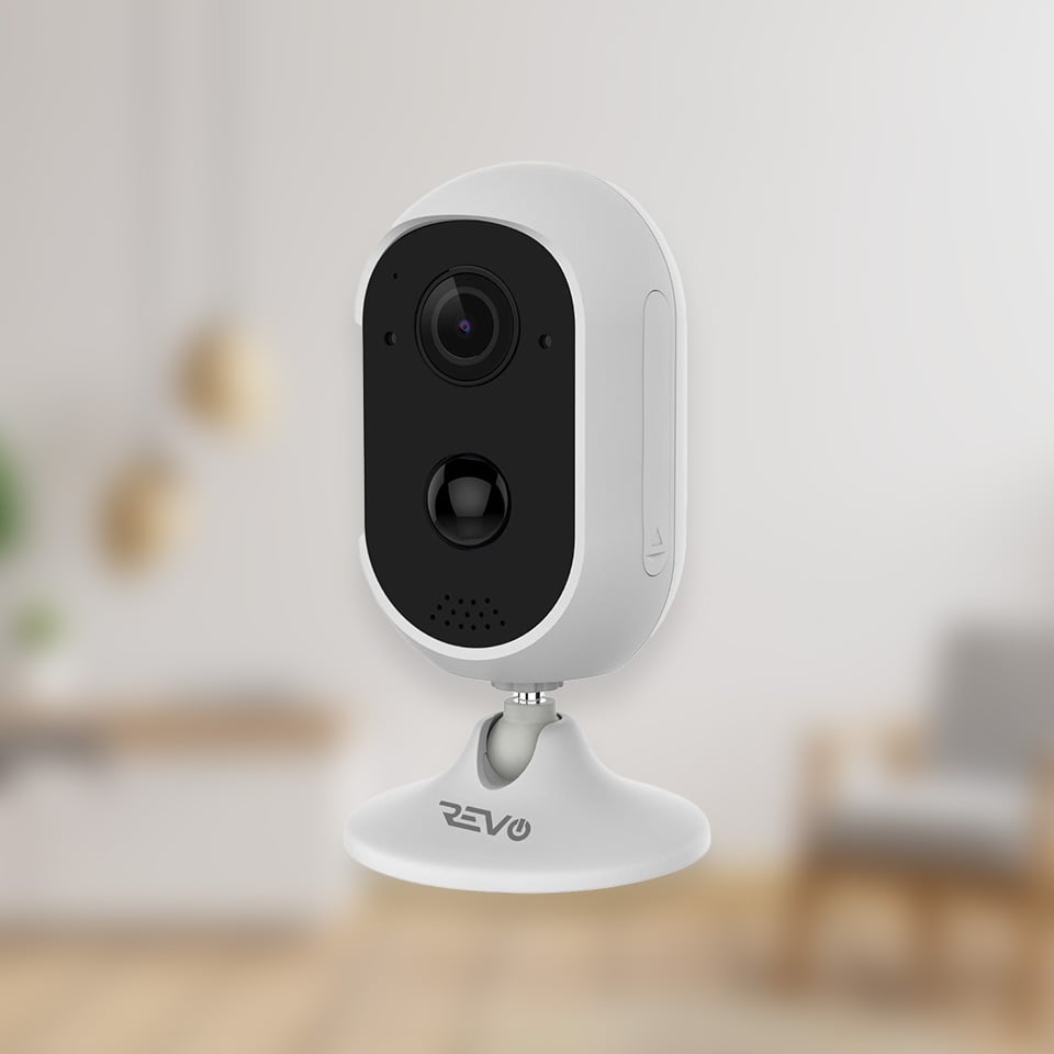 Stand-Alone Cameras